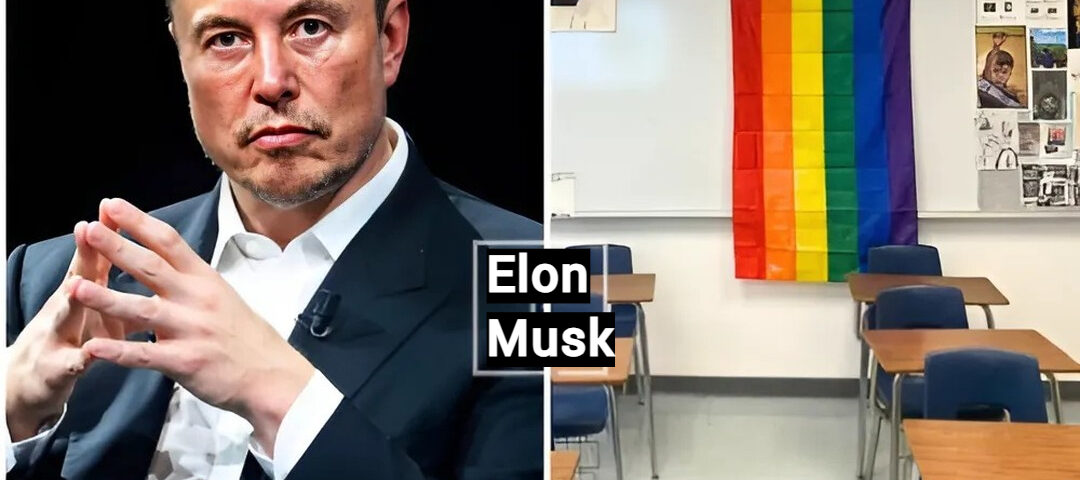 Elon-fotor-20241016193828